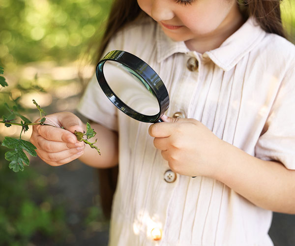 Learning through Experience