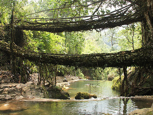 Meghalaya