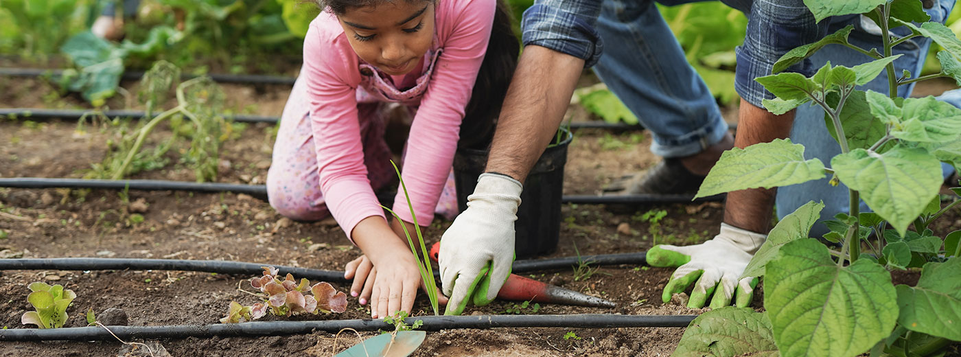 Learning Through Service